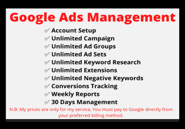 Set up and Manage Google Ads PPC Campaign For 30 Days