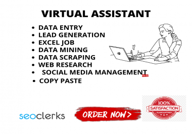 I will be your Dependable Virtual Assistant and do any kind of job as you need
