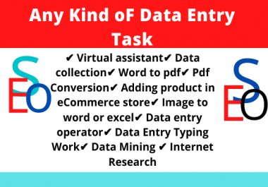 I Will Do Any Kind of Data Entry Task