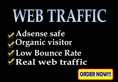 I will bring real targeted web traffic