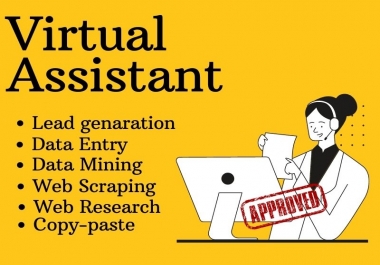 I will be your personal professional VIRTUAL ASSISTANT