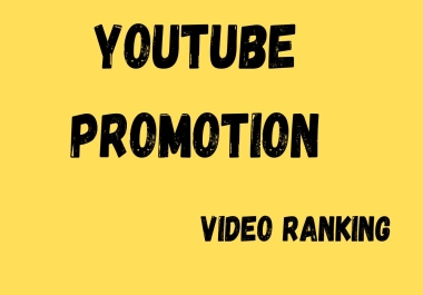I will do best youtube video SEO Social Media Bookmark to increase your videos rank.