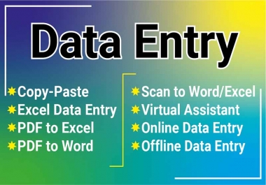 I will do excel data entry,  typing,  copy paste,  data mining,  file convert
