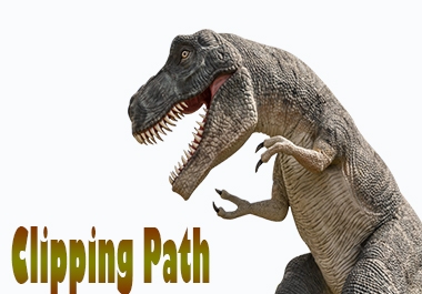 I will do fast delivery background remove clipping path 15 images