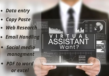 I will be your virtual assistant for any kinds of tasks