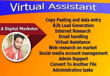 I will be your expert and professional virtual assistant