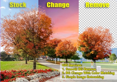 I will do photo editing,  photo retouching,  image resizing,  and remove background from 15 images