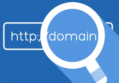 I will be search domain for your website