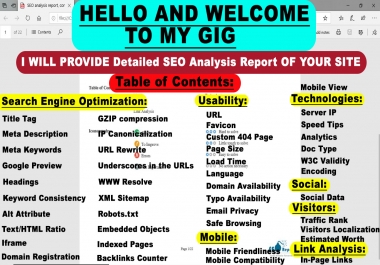 I will provide expert SEO report,  competitor website audit,  analysis