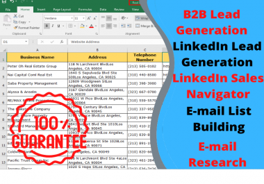 I will prepare B2B lead generation for your selected niche and build e-mail list.