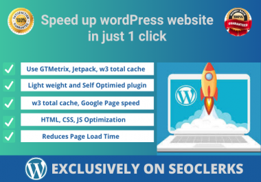 I will speed up and optimize your WordPress website.