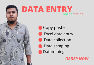 I will do data entry,  copy paste,  web research,  web scraping,  data mining and excel data entry