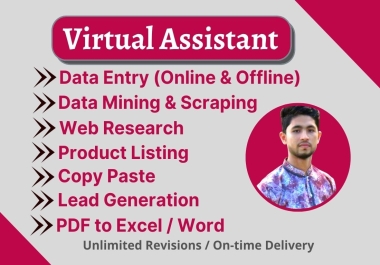 I will do accurate data entry,  copy paste,  web research and virtual assistant