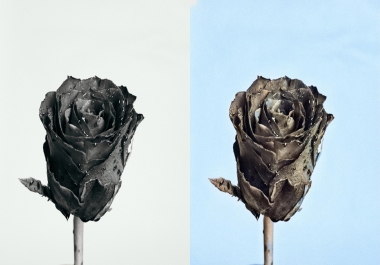 I Will Colourized and restore your Black & White Photos