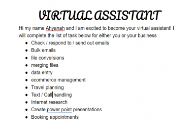 I will be your professional virtual assistant for 1 day 2 hours