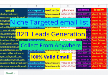 niche targeted bulk email collection and b2b lead generation