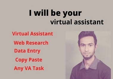 I will be your personal virtual assistant for any work
