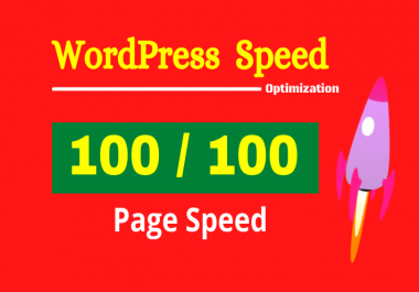 I will do wordpress website speed optimization for google pagespeed and gtmetrix