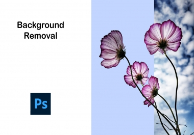 I will provide Image Background Removal & Clipping Path Service