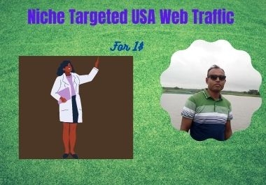 I will do the job of niche targeted usa web traffic