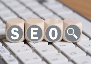 I do 10 gov seo link building provider