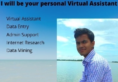 I will be your personal virtual assistant for any platform