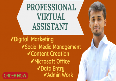 I will be dedicated virtual assistant for your any Social Media