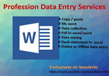 I will do copy/paste,  excel data entry,  typing,  data entry