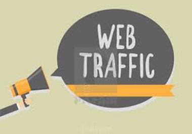 Best and premium traffic for website or blog
