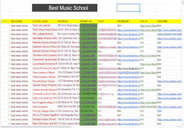 Provide any type of data collection,  copy paste typing job