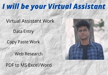 I will be your perfect virtual assistant for any kind of work