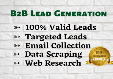 I will do any kind of Lead Generation,  Web Research,  Email List Building etc