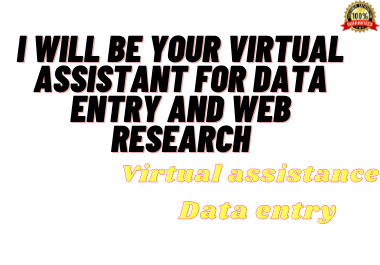 I will be your virtual assistant for data entry and web scraping