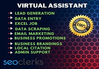 I will be your Professional and well Organized Virtual Assistant for your any kind of project.
