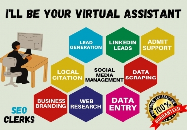 I will be your best professional virtual assistant.