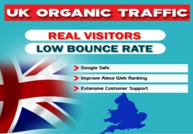 I will drive real organic targeted traffic to your website