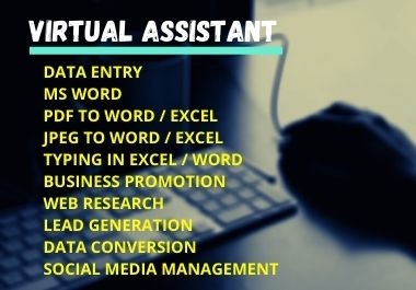 I am virtual assistant. Contact us to understand the work of any of your DATA ENTRY,  EXCEL JOB.