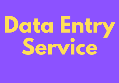 Do Fast Data entry Service for you