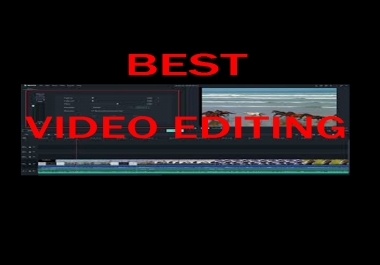 I will be your professional video editor