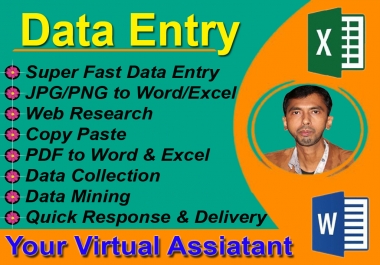 I will do any data Entry,  Lead generation,  web research for your business or company