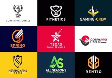 I will do professional logo design and Brand Identity