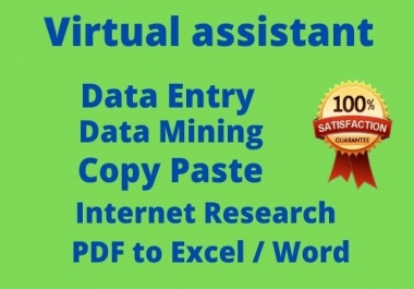 I will be your virtual assistant for data entry,  data mining,  copy paste, PDF to Excel, web research