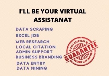 I will be your virtual assistant for any kind of office work