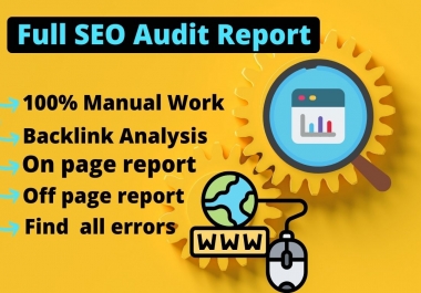 I will do a technical SEO website audit report,  analysis,  and recommendations for your site