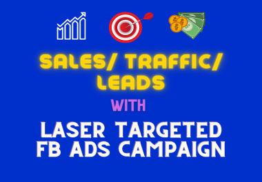 Take Your Business to the Next Level with Laser Targeted Facebook Ads Campaign