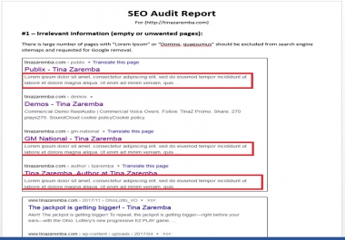 I will create a technical SEO audit of your website