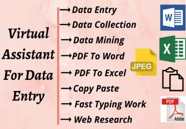 I will be your virtual assistant for data entry project