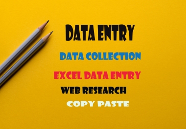 data entry data collection excel data entry