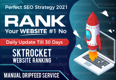 Rank Your Website on Google,  29 days SEO Backlinks Manual