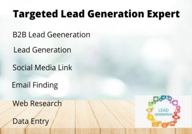 I will do b2b lead generation,  web research and tergated lead generation